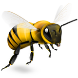 ir.hiveapp.hive