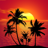 com.blackbirdwallpapers.tropical