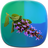 com.phoinix_books_h.toledeesansehaegeyahe