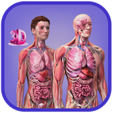 com.tritecapp.humananatomy