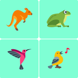 com.svappzone.kidsmemorygame