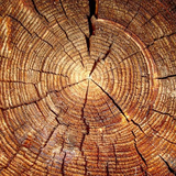com.Infinity.wood