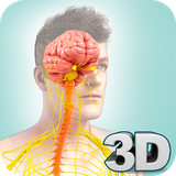 com.visual3dscience.nervouspro