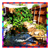 com.fishpondideas.Silvester