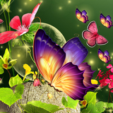 com.spapian.butterflywallpapers