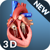 com.visual3dscience.heartpro