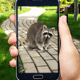 com.ox_pocket_games.catch_stray_animals