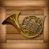 tr.com.alyaka.alper.toddlersfrenchhorn