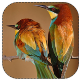 lezat.zendegi.moshtarak