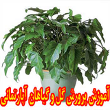 ir.negahdare.az.geyahan.apartemane.d