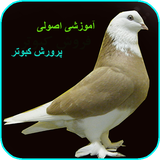 ir.shaparakha.kabootar