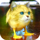 en.scalesdev.morphing