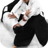 ir.tinasoft.aikido