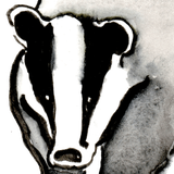 org.ptes.mammalsonroads.v2