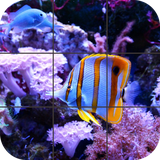 com.tordusgames.puzzles.fish