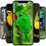 com.andromo.dev811354.app922005