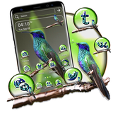 com.oaksu.violetear.hummingbird.themeapp