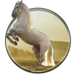 live.wallpaper.horse.animal.pony.running