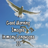 com.blogspot.mdroid.gmback_int2