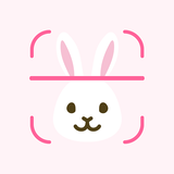 com.jocoding.animalfacetest