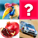 com.premiumsoftware.matchgame