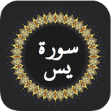com.ssn.surhyaseen
