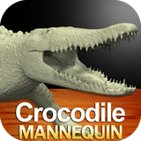 com.apps3DMannequins.CrocodileMannequin