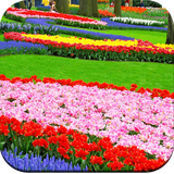 com.hd.gardenwallpaper.gardenpictures.nature.background.images