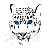 dev_abiuse.com.woocommerce