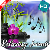 com.RelaxingMusicSounds