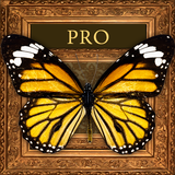 com.atsdev.framephotocollage