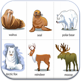 com.tienganh.tu.vung.hinh.anh