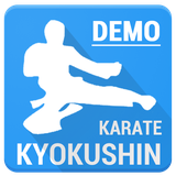 ir.mahdishamsi.kyokushinpoliceDemo