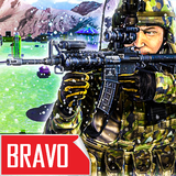 com.vsoft.Bravo