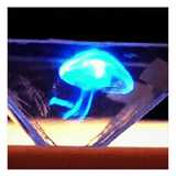 ronas.sebodi.projector