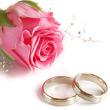 badazezdevaj.bedanim