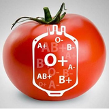 Kolali.Abdolhossein.grooh_khooni