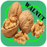 walnutpv.amozshi.any1