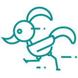 com.app.myapp.ppWhitchdc