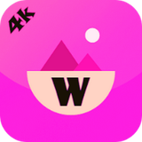 com.wallpaper.daneshesepid