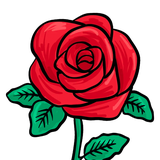 qt.app.theme.rose2