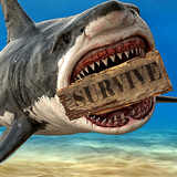 com.vade.raft_survival
