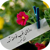 buy.delneshin.aramesh