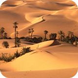 com.wallpaperdesertwallpaper.wallpaperhd