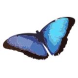 com.excelatlife.depression