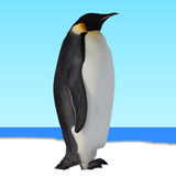 com.dmitsoft.flyingpenguin