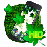 com.apusapps.livewallpaper.greenleaf_e97c64c8