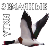 ru.polyantenn.taiga.zem_utki