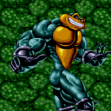com.battletoads.sard