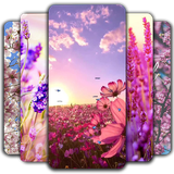 com.spring.wallpaper.beautifulwallpaper.backgroundwallpapers.backgrounds.springphotos